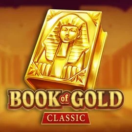 game logo by Playson on stakeprixx.fr