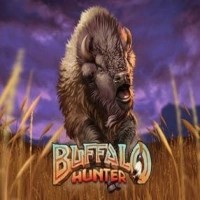 Buffalo Hunter logo by Nolimit City at Stakeprix CasinoBuffalo Hunter