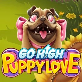 game logo by RubyPlay on stakeprixx.fr